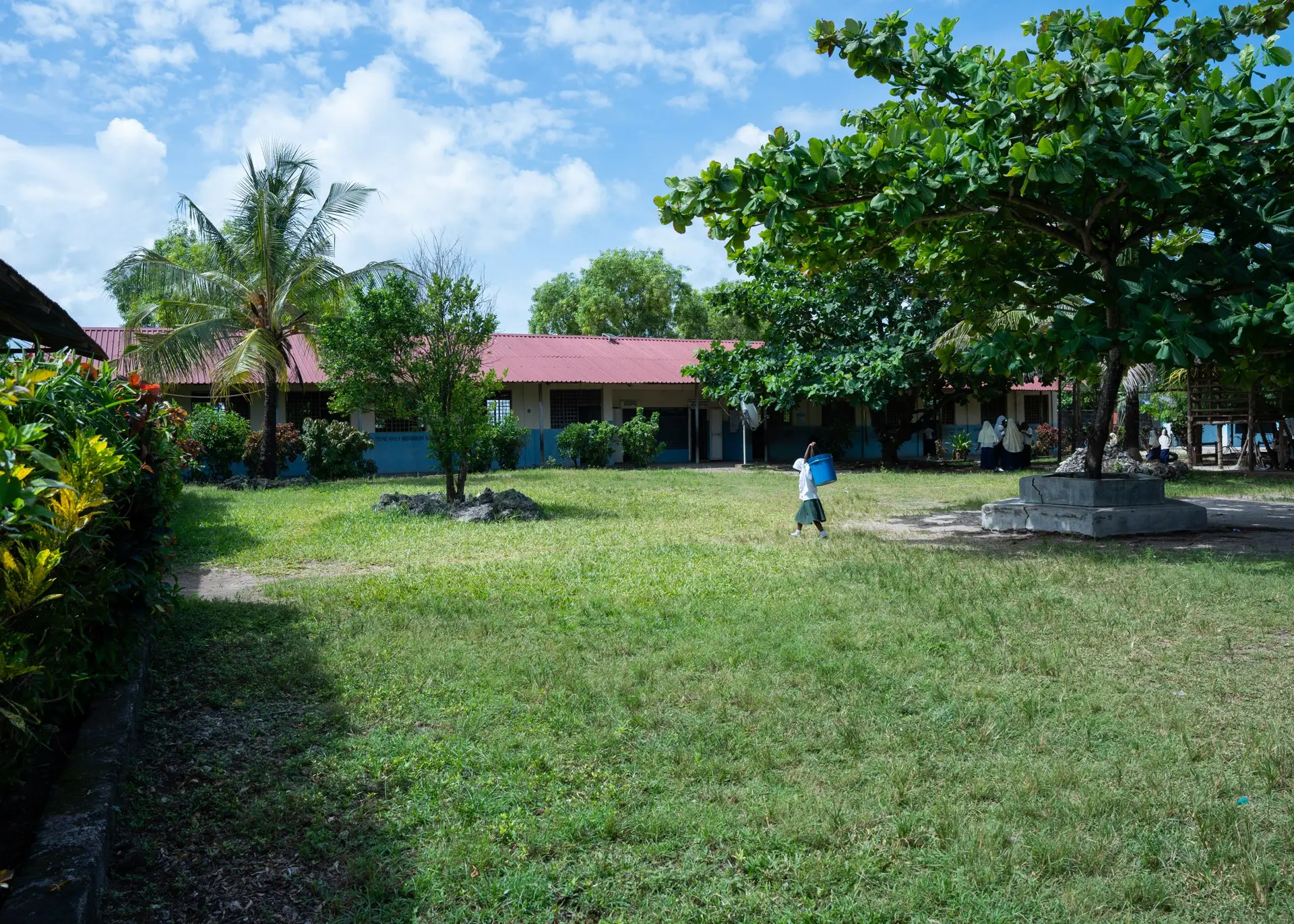 School — photo 4