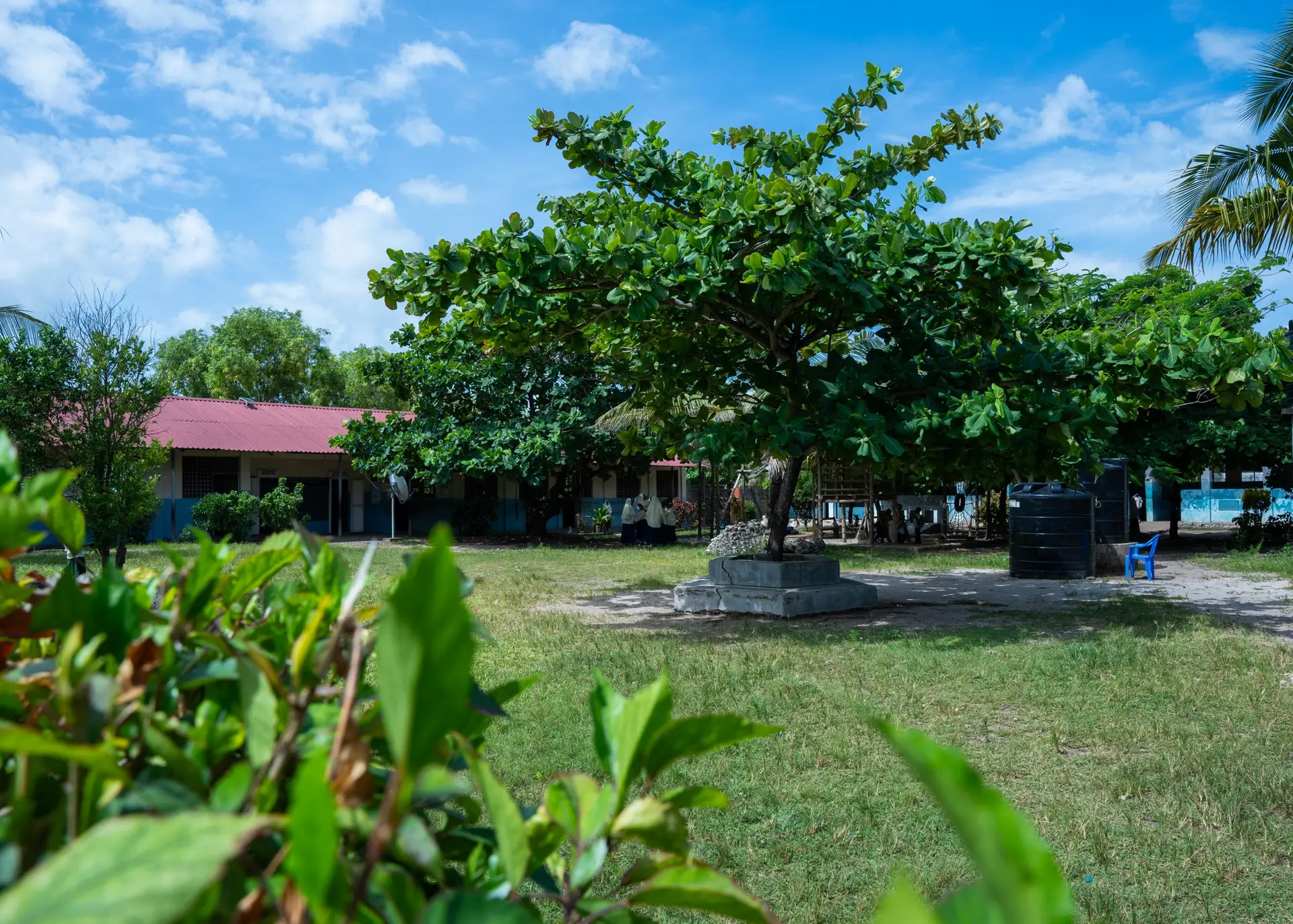 School — photo 6